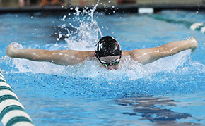 Men’s Swim and Dive Undefeated